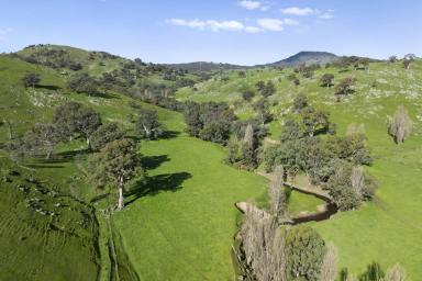 Other (Rural) For Sale - VIC - Sheans Creek - 3666 - Sheans Creek Frontage: Alluvial Flats & Elevated Building Enclaves (Image 2)