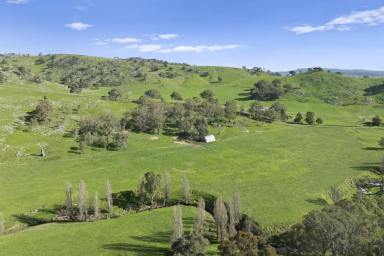 Other (Rural) For Sale - VIC - Sheans Creek - 3666 - Sheans Creek Frontage: Alluvial Flats & Elevated Building Enclaves  (Image 2)
