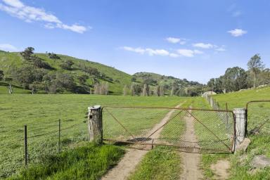 Other (Rural) For Sale - VIC - Sheans Creek - 3666 - Sheans Creek Frontage: Alluvial Flats & Elevated Building Enclaves (Image 2)