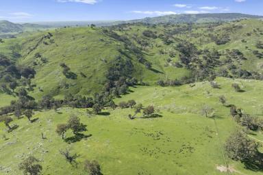 Other (Rural) For Sale - VIC - Sheans Creek - 3666 - Sheans Creek Frontage: Alluvial Flats & Elevated Building Enclaves  (Image 2)
