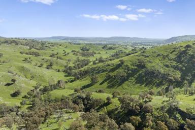 Other (Rural) For Sale - VIC - Sheans Creek - 3666 - Sheans Creek Frontage: Alluvial Flats & Elevated Building Enclaves  (Image 2)