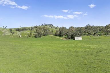 Other (Rural) For Sale - VIC - Sheans Creek - 3666 - Sheans Creek Frontage: Alluvial Flats & Elevated Building Enclaves  (Image 2)