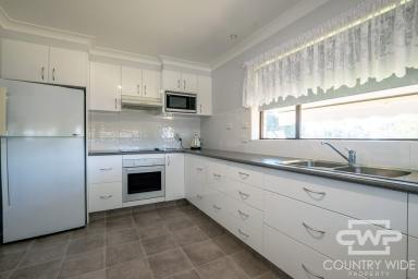 House For Sale - NSW - Glen Innes - 2370 - Neat Brick Home with Room to Grow  (Image 2)