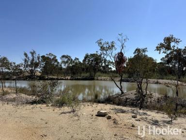 Other (Rural) For Sale - NSW - Delungra - 2403 - Lifestyle Opportunity on 107ha  (Image 2)
