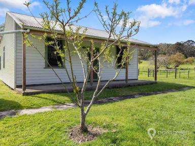 House For Sale - VIC - Foster - 3960 - RURAL HOME WITH PEACEFUL SURROUNDS  (Image 2)