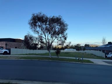 Residential Block For Sale - VIC - West Wodonga - 3690 - Rare Vacant Block in Prestigious Location with Elevated Easterly Aspect  (Image 2)