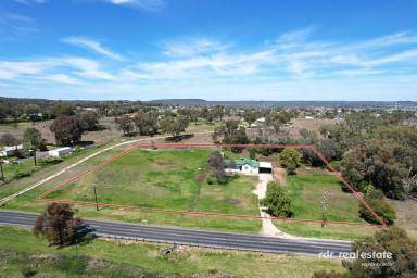 Acreage/Semi-rural For Sale - NSW - Inverell - 2360 - SPACIOUS SERENITY ON SWANBROOK  (Image 2)