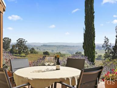 Lifestyle For Sale - NSW - Mount View - 2325 - Orizaba – Mount View, Hunter Valley Wine Country  (Image 2)