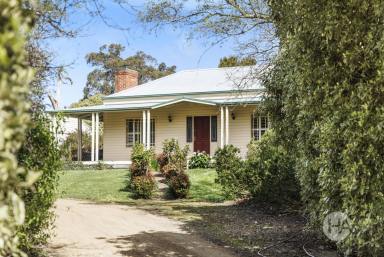 Acreage/Semi-rural For Sale - VIC - Balnarring - 3926 - Charming, private & exclusively positioned  (Image 2)