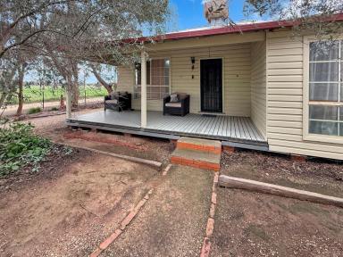 House For Sale - NSW - Narrandera - 2700 - FAMILY HOME WITH RURAL CHARM  (Image 2)