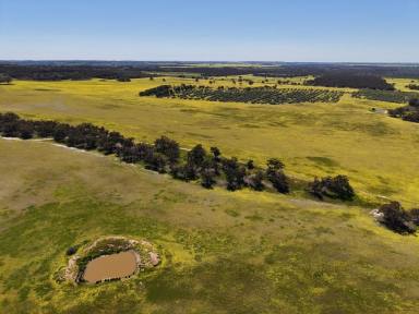 Other (Rural) For Sale - WA - Morbinning - 6304 - Farming, Sandalwood & Stunning Home                 340.87ha (841.9 acres)  (Image 2)