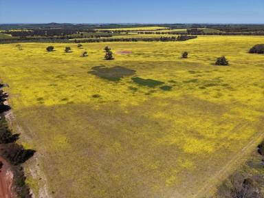 Other (Rural) For Sale - WA - Morbinning - 6304 - Farming, Sandalwood & Stunning Home                 340.87ha (841.9 acres)  (Image 2)