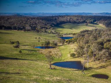 Lifestyle Auction - NSW - Big Hill - 2579 - " Lifestyle Luxury Meets Country Ease "  (Image 2)