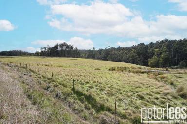 Residential Block For Sale - TAS - Frankford - 7275 - Your Dream Lifestyle Awaits (Image 2)