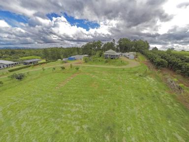 Acreage/Semi-rural For Sale - QLD - South Isis - 4660 - LIVE THE SELF SUSTAINABLE ACREAGE LIFESTYLE, ON THE FRINGE OF CHILDERS (Image 2)