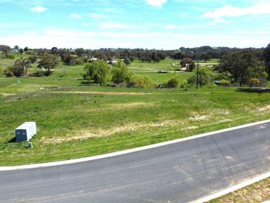 Residential Block For Sale - NSW - Young - 2594 - Space, Privacy & Lifestyle  (Image 2)
