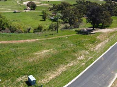 Residential Block For Sale - NSW - Young - 2594 - Space, Privacy & Lifestyle  (Image 2)