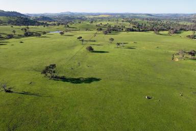 Mixed Farming Auction - NSW - Bookham - 2582 - THE IDEAL BLANK CANVAS  (Image 2)