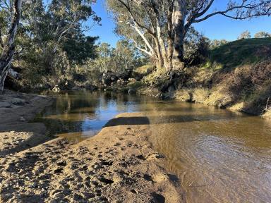 Mixed Farming Auction - NSW - Bookham - 2582 - THE IDEAL BLANK CANVAS  (Image 2)