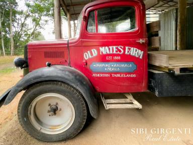 Lifestyle For Sale - QLD - Upper Barron - 4883 - “Old Mates Farm" - Income + Lifestyle Opportunity: 160-Acre Riverfront Agritourism Venture with Tourist Park Approval (Image 2)