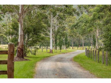Lifestyle For Sale - NSW - Wootton - 2423 - HIGHLY DESIRABLE LIFESTYLE - GREAT LAKES PADDOCKS  (Image 2)