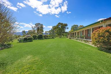 Lifestyle Auction - NSW - Tamworth - 2340 - SPACE, STYLE & SERENITY  (Image 2)