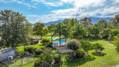 Lifestyle Auction - NSW - Tamworth - 2340 - SPACE, STYLE & SERENITY  (Image 2)