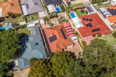House For Sale - WA - Baldivis - 6171 - Your Dream Family Home in Beautiful Baldivis!!  (Image 2)