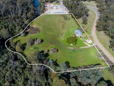 House For Sale - TAS - York Town - 7270 - "Water Mill Cottage" Residence & Caravan Park on 5.5 acres, 30 minutes from Launceston, 15 minutes to the beach.  (Image 2)