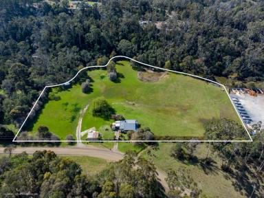 House For Sale - TAS - York Town - 7270 - "Water Mill Cottage" Residence & Caravan Park on 5.5 acres, 30 minutes from Launceston, 15 minutes to the beach.  (Image 2)