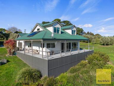 Lifestyle For Sale - VIC - Stony Creek - 3957 - MULTI AWARD WINNING - GRASSY SPUR OLIVES  (Image 2)