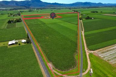 Cropping For Sale - QLD - Gordonvale - 4865 - BMP-Accredited Rural Landholding – Highleigh, Gordonvale  (Image 2)