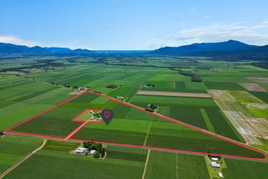 Cropping For Sale - QLD - Gordonvale - 4865 - BMP-Accredited Rural Landholding – Highleigh, Gordonvale  (Image 2)