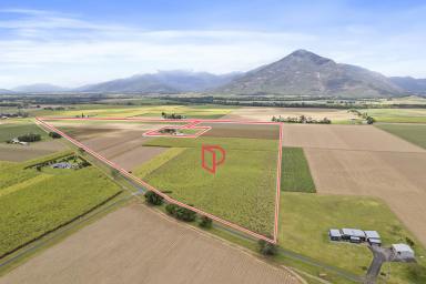 Cropping For Sale - QLD - Gordonvale - 4865 - Established Sugar Cane Farm – Highleigh, Gordonvale  (Image 2)