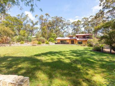 Acreage/Semi-rural For Sale - NSW - Kalaru - 2550 - CHARMING MUDBRICK HOME, GREAT LOCATION!  (Image 2)