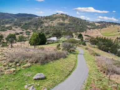Livestock For Sale - NSW - Bullio - 2575 - Stunning Rural Escape on 100 Acres with Sweeping Views  (Image 2)