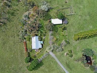 Livestock For Sale - NSW - Bullio - 2575 - Stunning Rural Escape on 100 Acres with Sweeping Views  (Image 2)