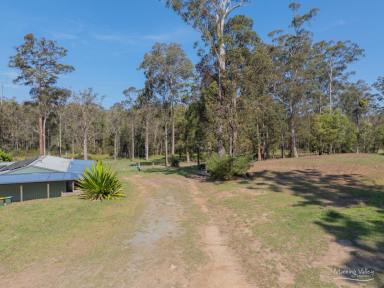 Acreage/Semi-rural For Sale - NSW - Rainbow Flat - 2430 - Here is an opportunity...  (Image 2)