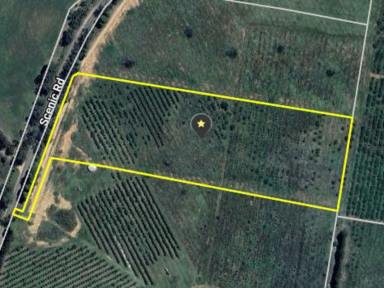 Residential Block For Sale - NSW - Young - 2594 - Ready To Build  (Image 2)