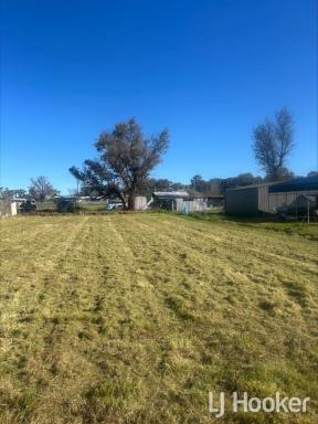 Residential Block For Sale - NSW - Bundarra - 2359 - Central Bundarra Location  (Image 2)