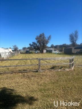 Residential Block For Sale - NSW - Bundarra - 2359 - Central Bundarra Location  (Image 2)