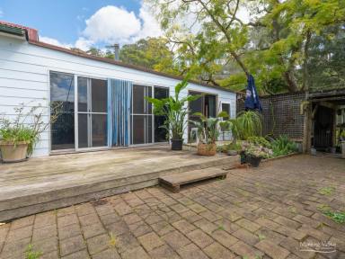 Lifestyle For Sale - NSW - Moorland - 2443 - Ultimate Lifestyle Property: Horses, Nature & Ecotourism Potential  (Image 2)
