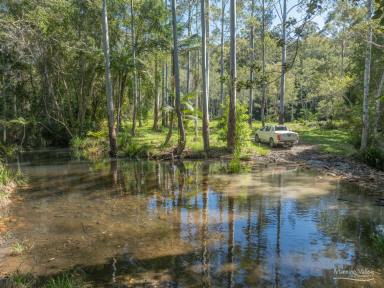 Lifestyle For Sale - NSW - Moorland - 2443 - Ultimate Lifestyle Property: Horses, Nature & Ecotourism Potential  (Image 2)