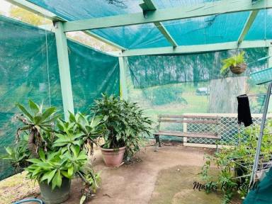 Lifestyle For Sale - QLD - Hivesville - 4612 - Weekend Getaway in Hivesville  (Image 2)