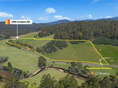 House For Sale - TAS - Nietta - 7315 - Your Tassie Hobby Farm Starts Here  (Image 2)