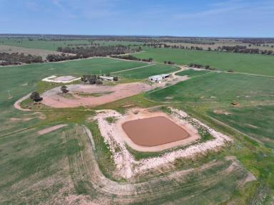 Mixed Farming For Sale - NSW - West Wyalong - 2671 - Great Starter Block  (Image 2)