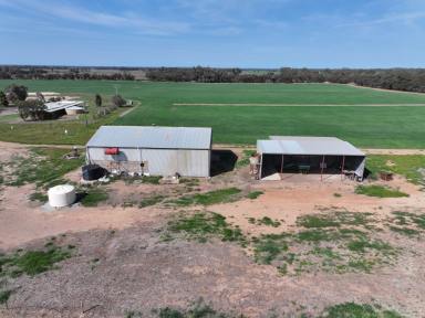 Mixed Farming For Sale - NSW - West Wyalong - 2671 - Great Starter Block  (Image 2)