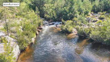 House For Sale - NSW - Bemboka - 2550 - THE RIVER HOUSE (Image 2)