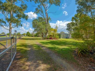 Acreage/Semi-rural For Sale - QLD - Bells Bridge - 4570 - Mary River frontage with easy access  (Image 2)