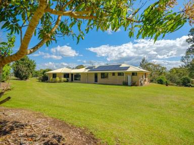 Acreage/Semi-rural For Sale - QLD - Bells Bridge - 4570 - Mary River frontage with easy access  (Image 2)